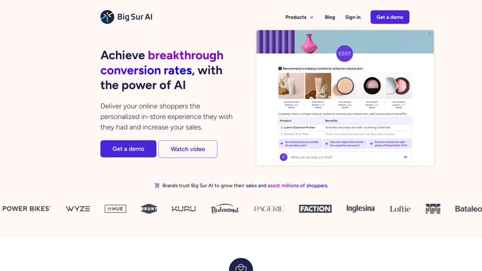 Big Sur AI: The E-commerce AI Platform